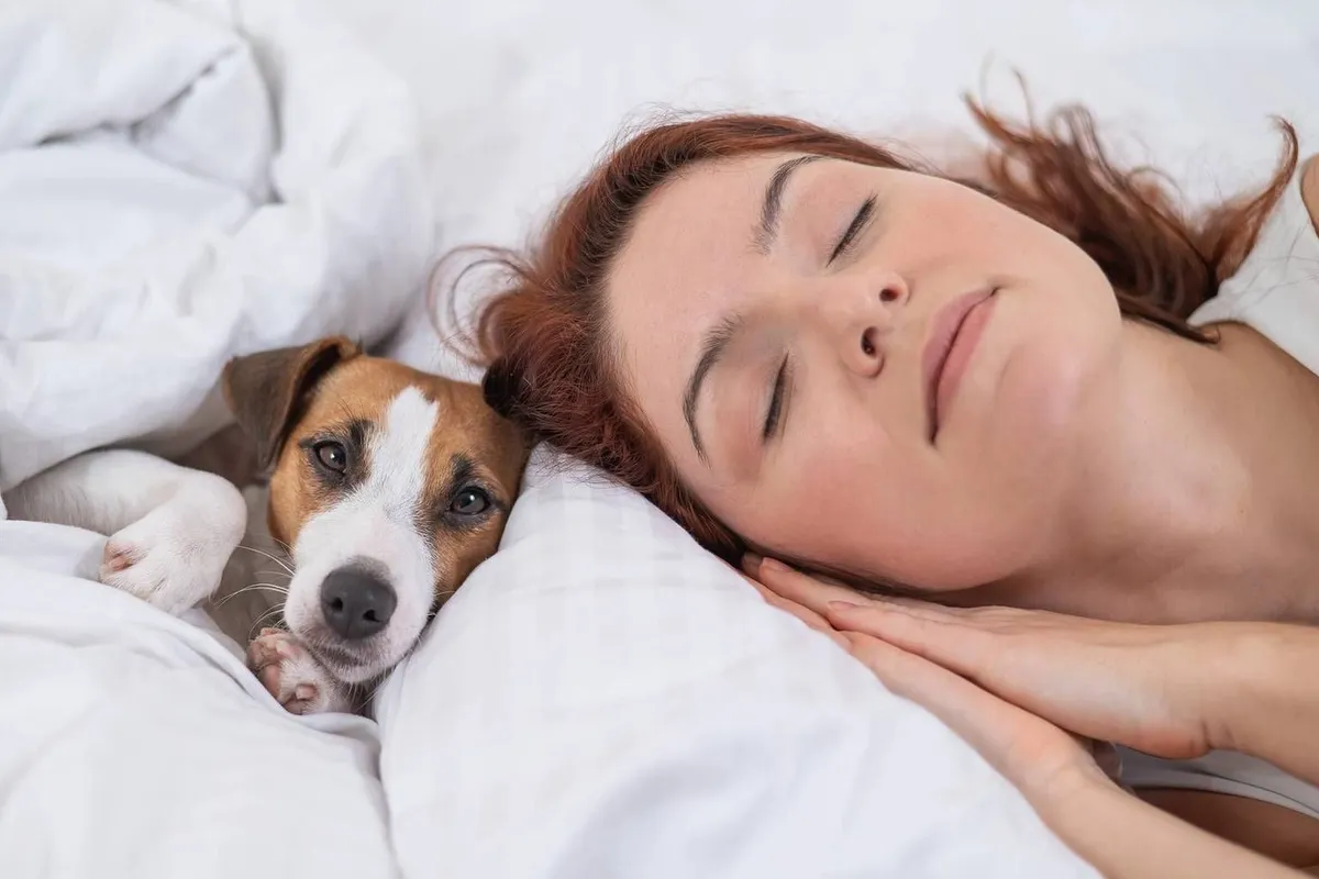 Sharing your bed with your dog: a complete guide